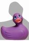 Purple duckie travel